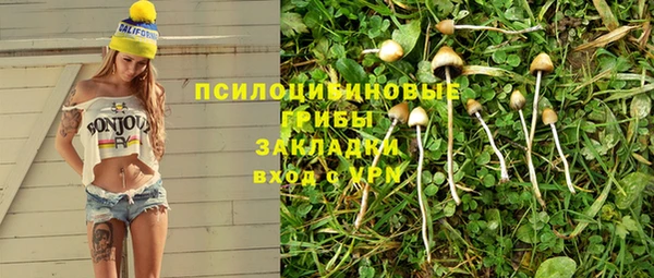 ALPHA PVP Костерёво