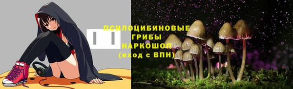 ALPHA PVP Костерёво