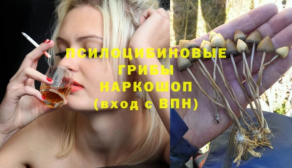ALPHA PVP Костерёво