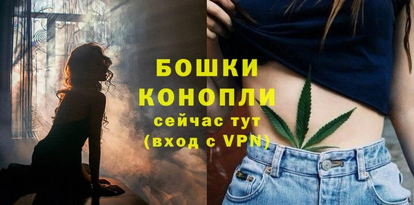 каннабис Корсаков