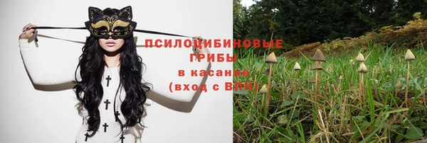 ALPHA PVP Костерёво