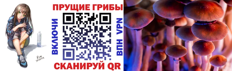 Галлюциногенные грибы Cubensis  Купить где  Крым 